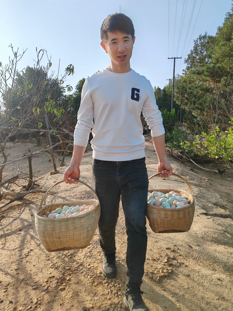 农惠村土鸡蛋20枚<包邮包破损>