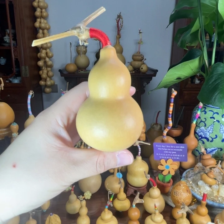 满籽厚皮葫芦葫芦福福