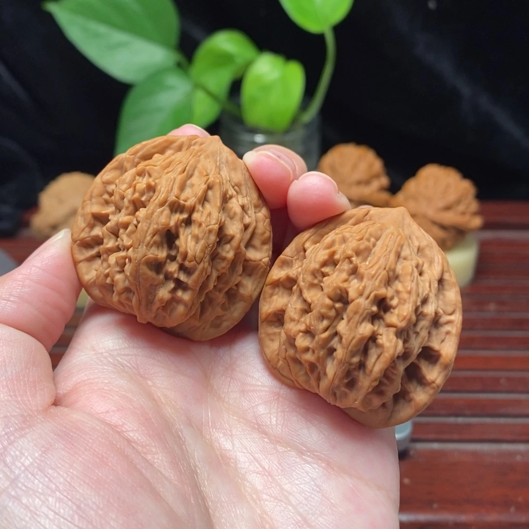 核桃41全品麦穗虎头