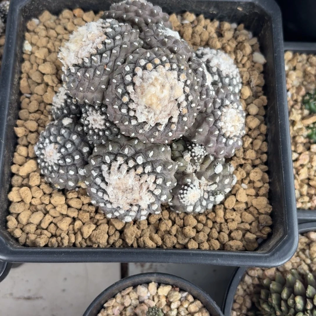 111111111111111111111