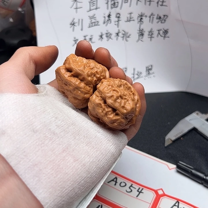 乌***嘎5555555555555555555555555555555555