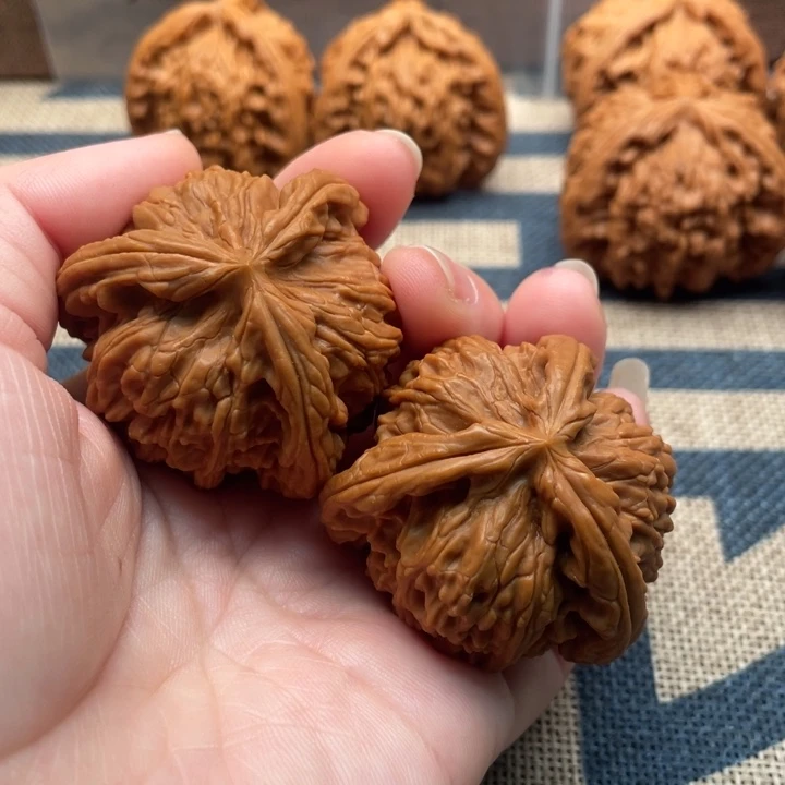 深***人核桃白狮子41核桃