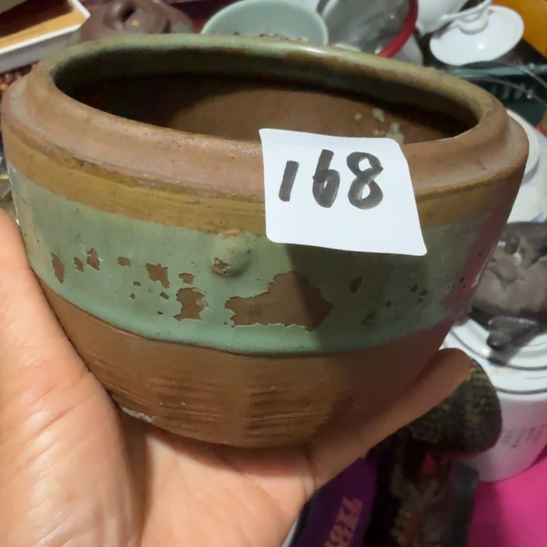 鼓***海杂色豆（科檀/科特迪瓦檀木）