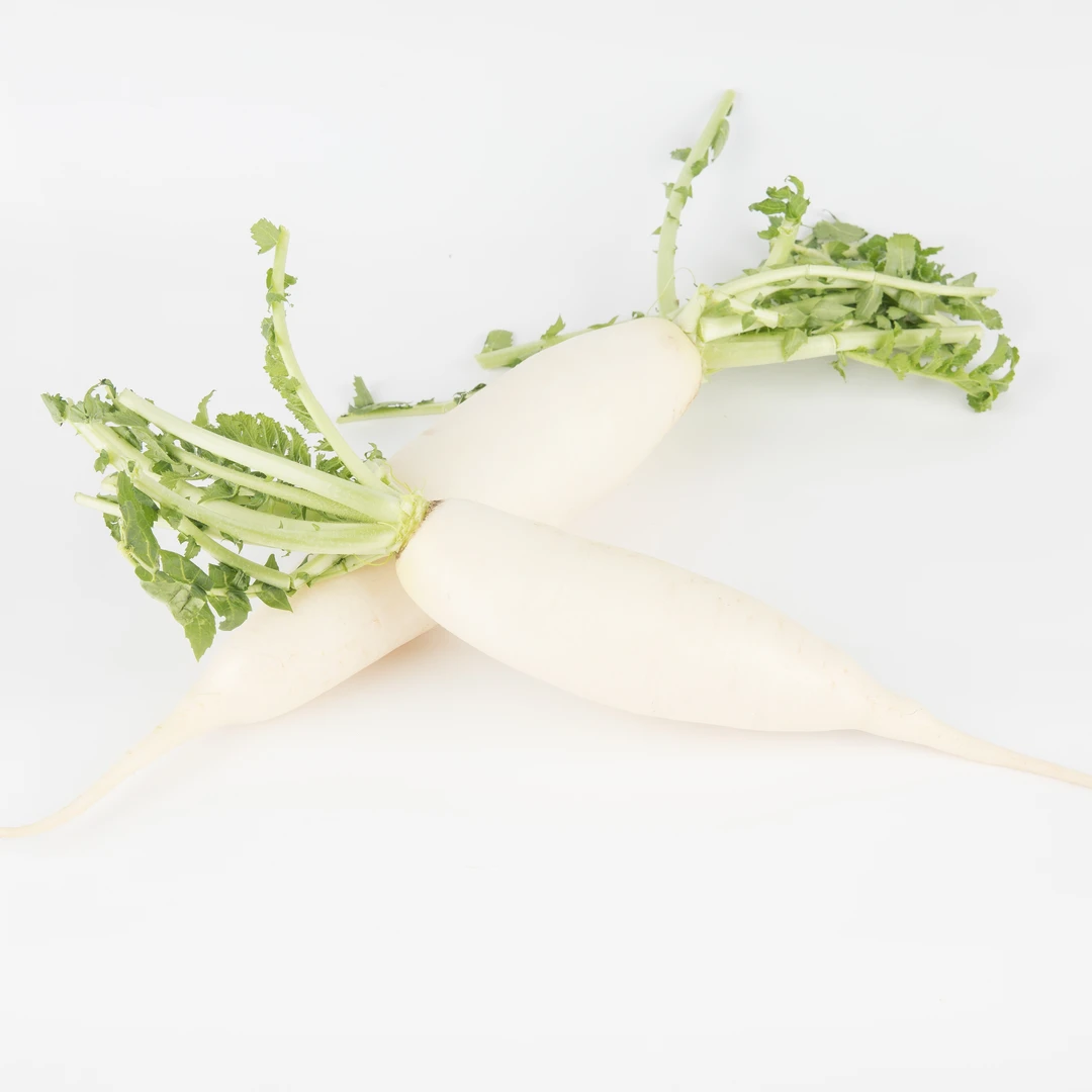 新鲜白萝卜 约500g