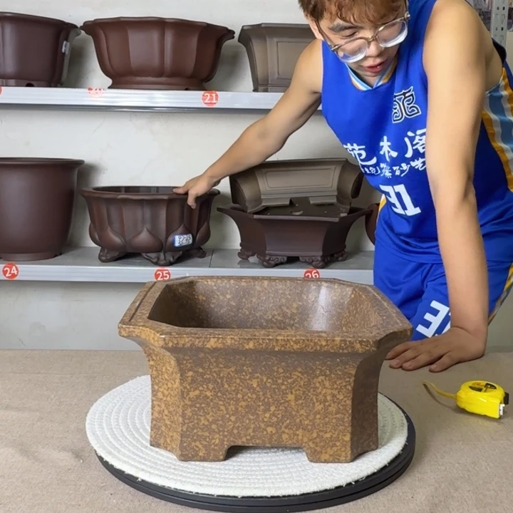 探***爷花盆紫砂哈哈哈哈