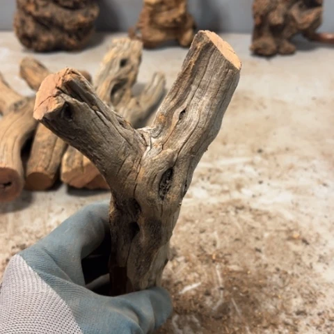 黄***员大果紫檀（缅甸花梨）