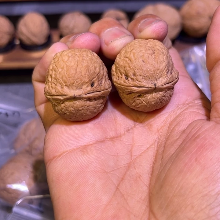 把件文玩核桃红旺云铁16号30mm