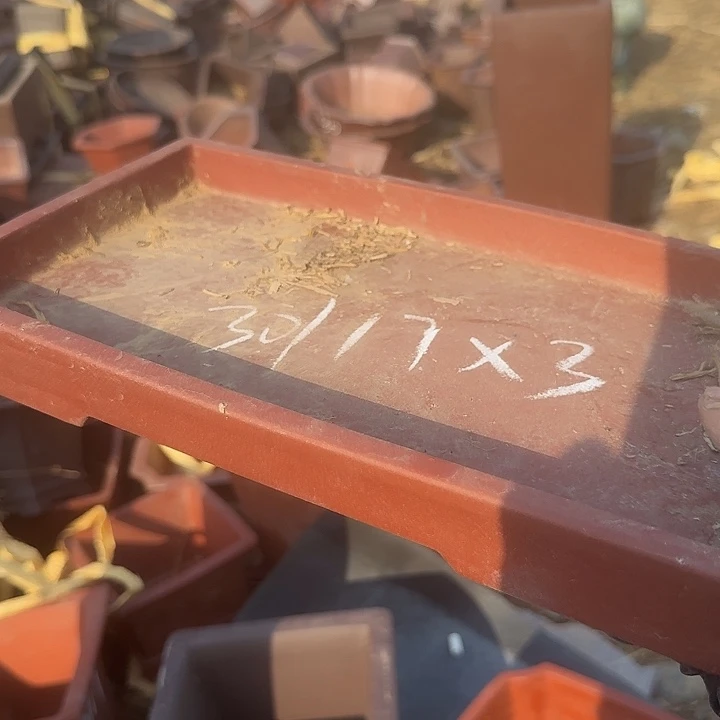 紫砂和花都区将以每年举办大型