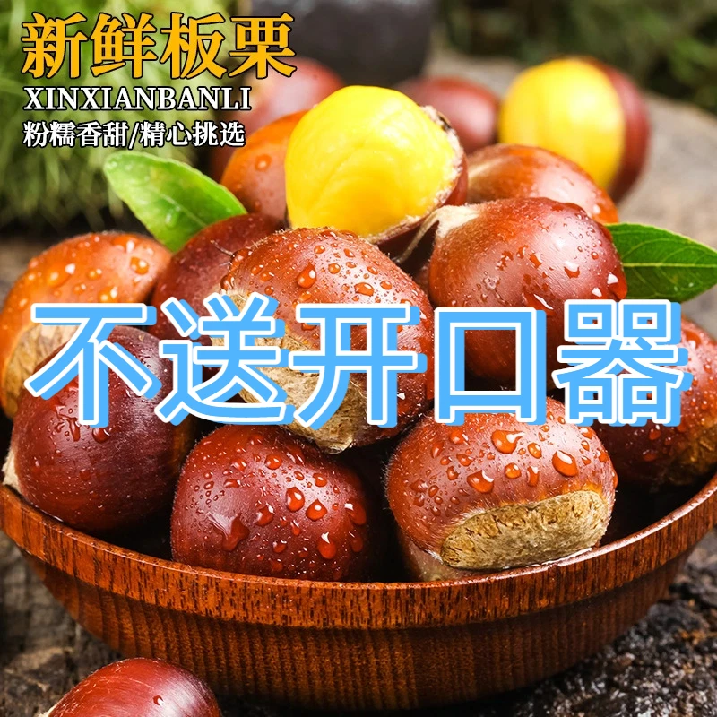 【不送开口器】2025新鲜丹东高山板栗香糯生板栗难剥皮非油栗非锥栗