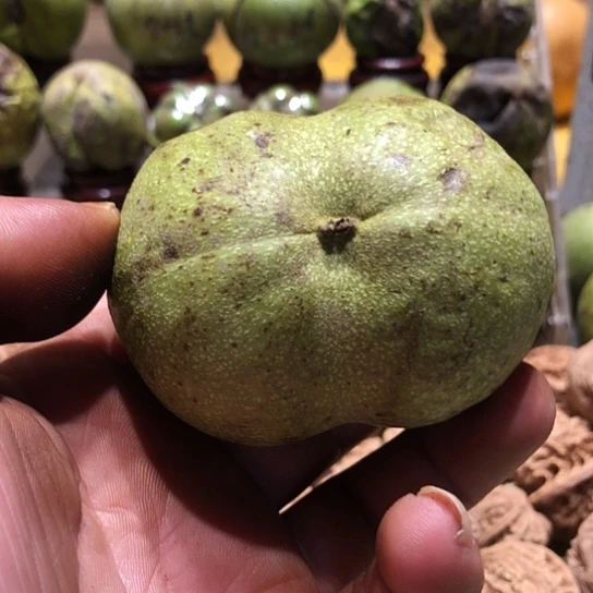 X***Y吊坠桃核核桃核桃