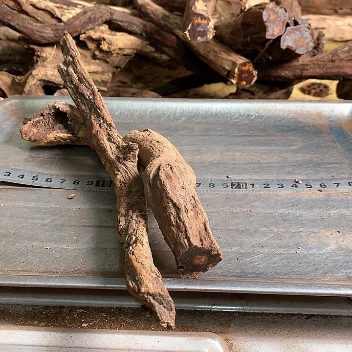 花梨木类神**采海南花梨