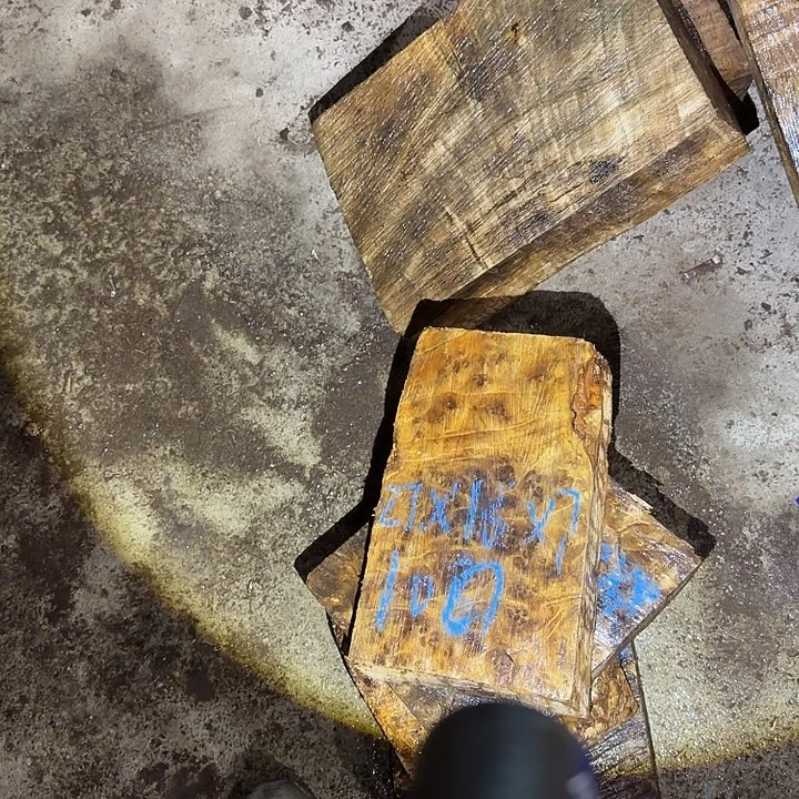 閲***黄金樟树瘤工艺料