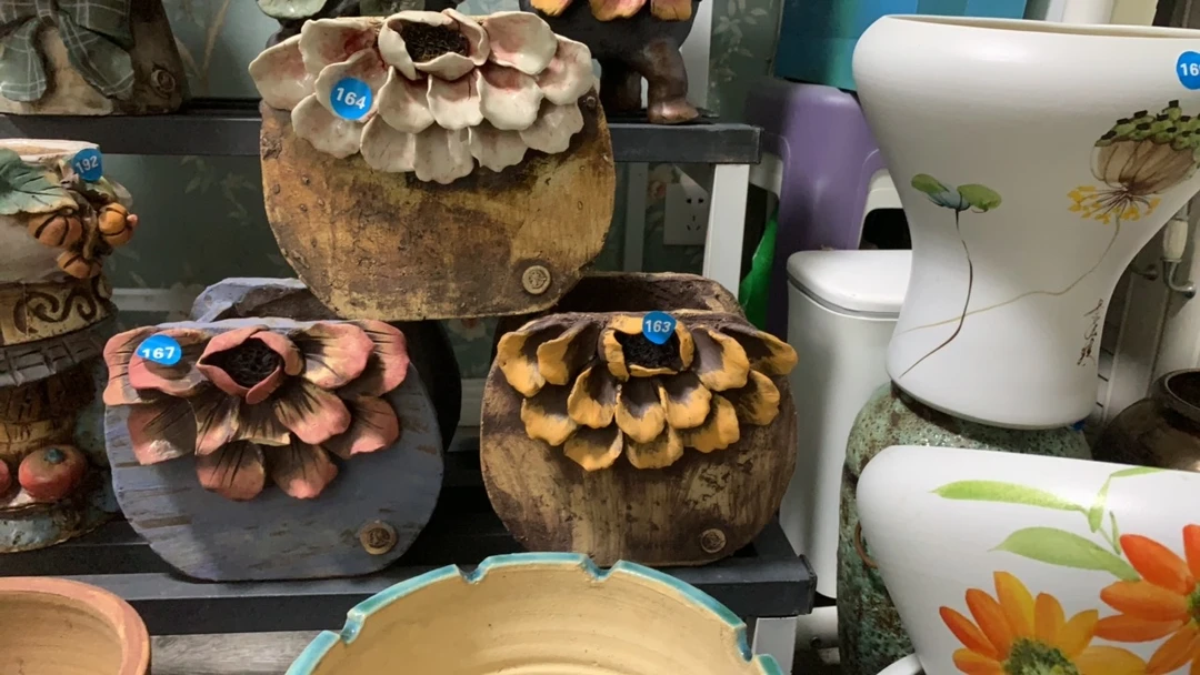 白狐品牌霸王花鼓盆