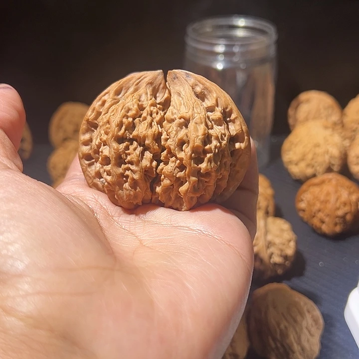 核桃全品无修官帽半臂