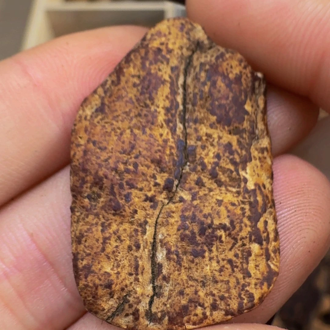 沉香吊坠越南惠安红土