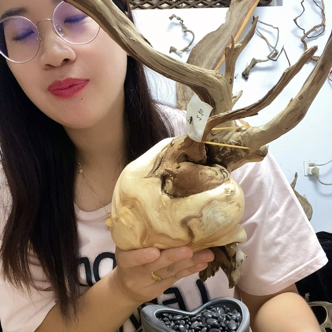 顺***司香榧木今天晚上吃什么好吃的
