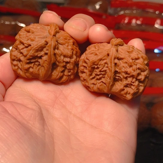 把件文玩核桃白狮子异形