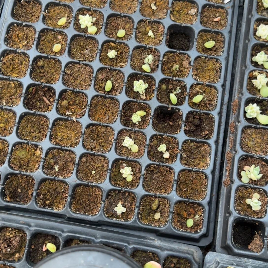 1474 穴一个满25包邮