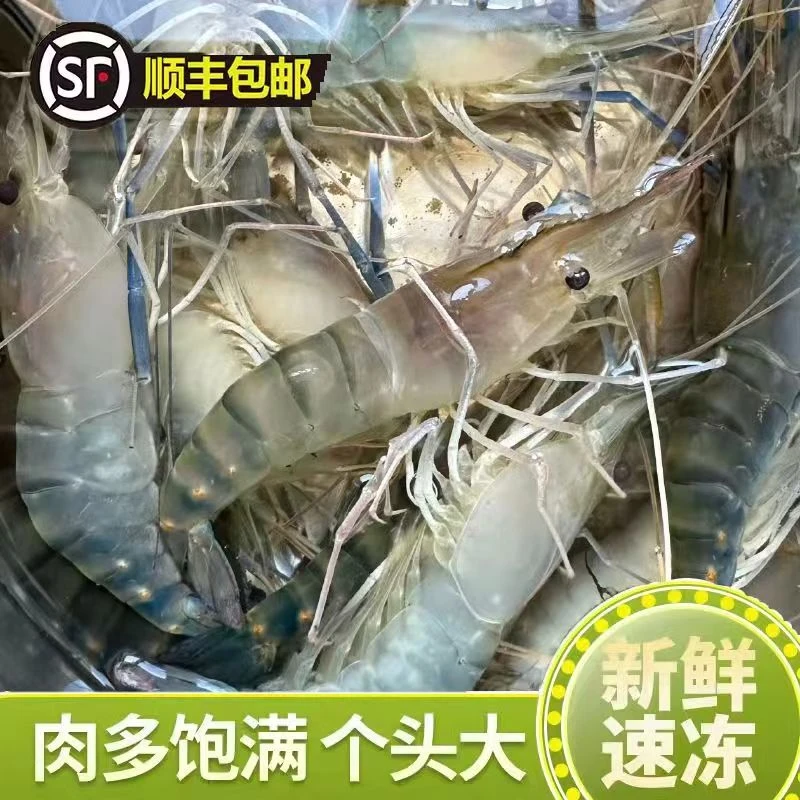 4斤罗氏虾15-20条一斤顺丰冷链包邮