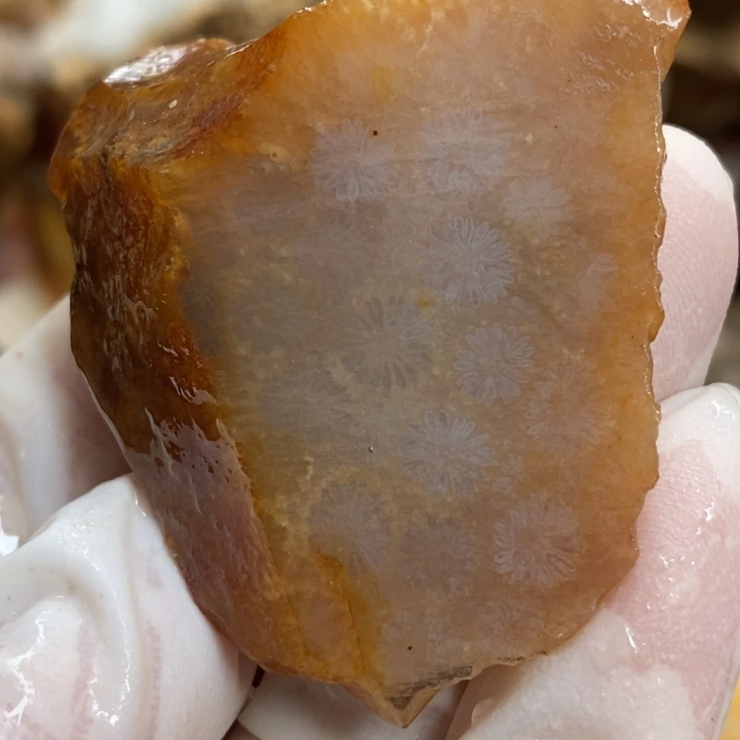 【闪购商品】硅化玉颈饰未镶嵌