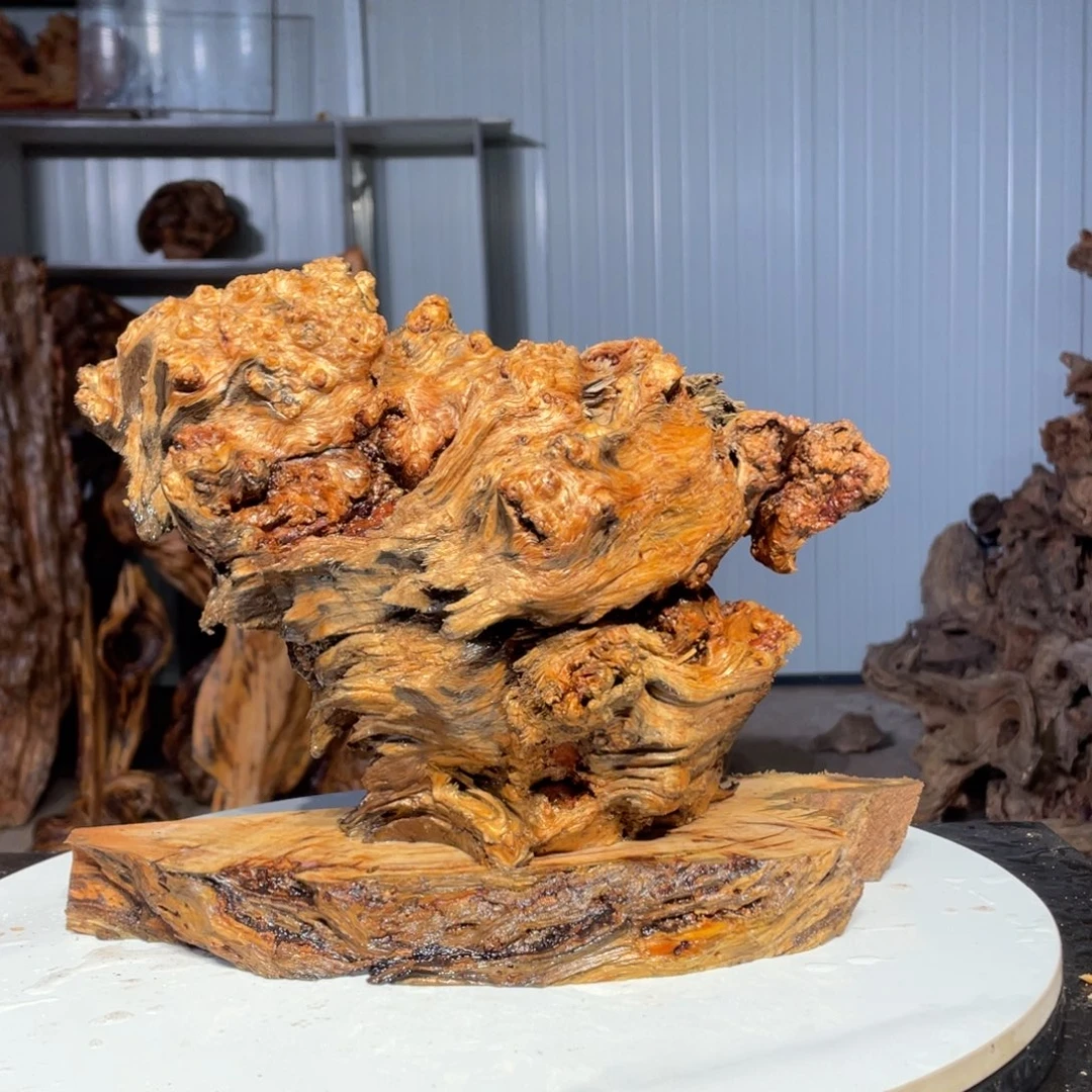 门***下木猛子琥珀木摆件41