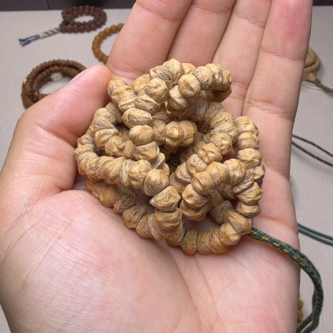 吊坠柏香籽/百香籽横打大肠