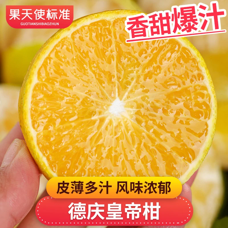 【果天使标准】香甜德庆皇帝柑2-8斤香甜多汁风味浓郁新鲜水果柑橘