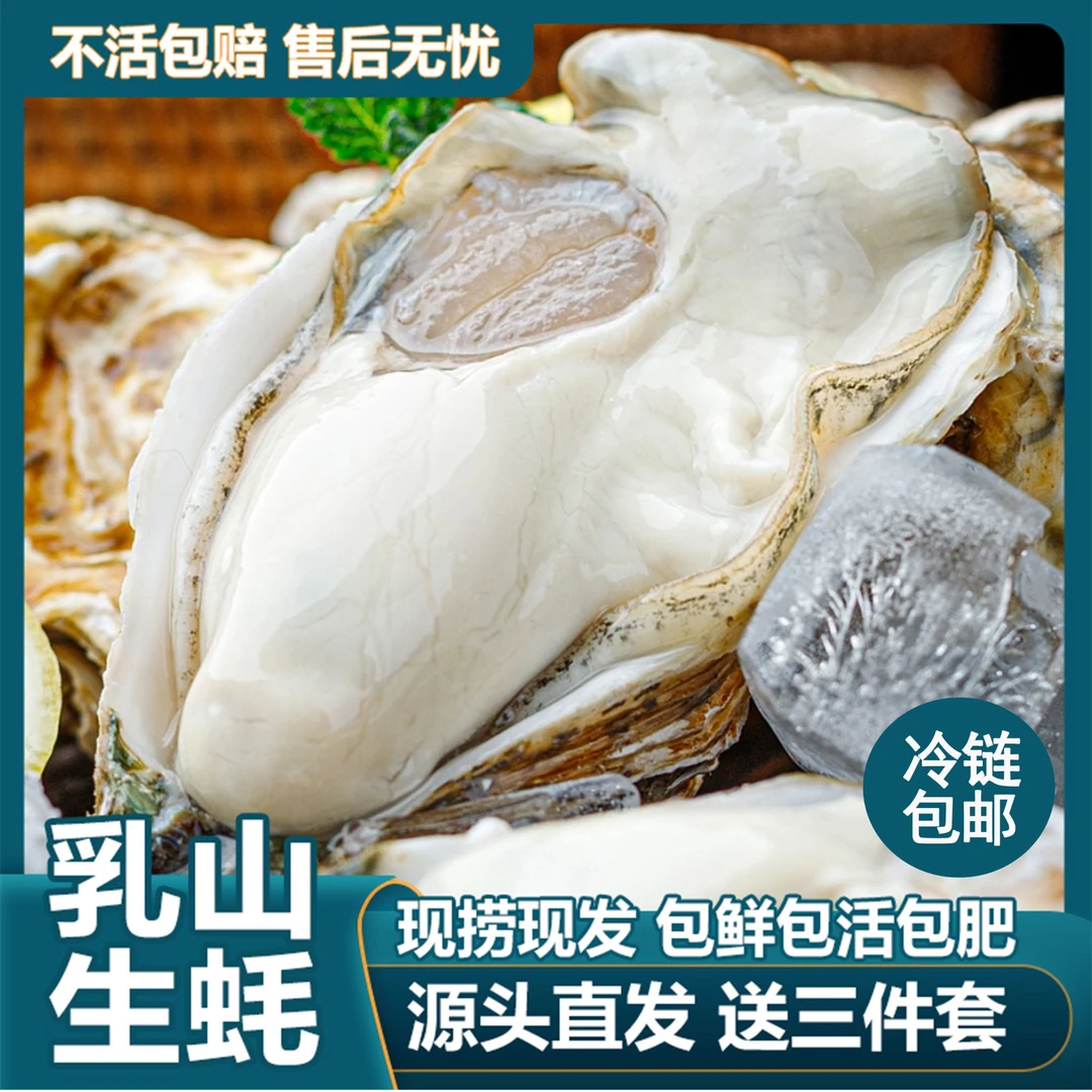 【还没开价正宗精品乳山生蚝】黄金4-6两 买5斤送2斤 共7斤鲜活海鲜