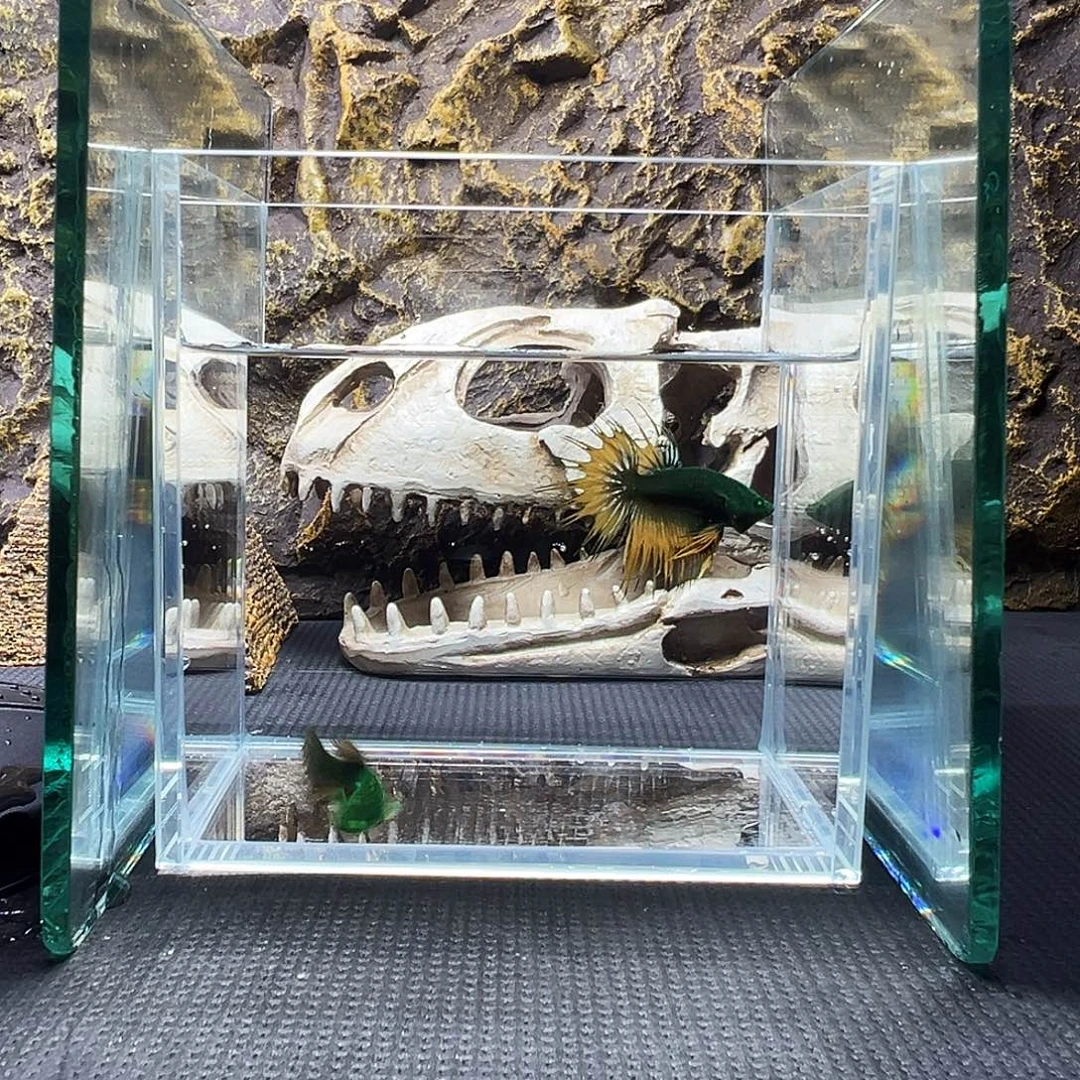 斗鱼精品精品精品精品精品精品精品