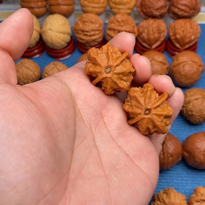 文玩核桃把件蝴蝶龙脊