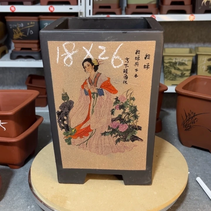 紫砂花盆紫砂花开盆