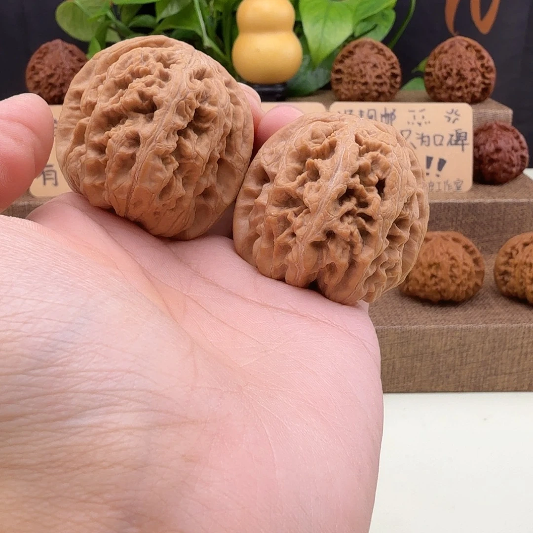 全品毕业平谷45/45/44大粗筋