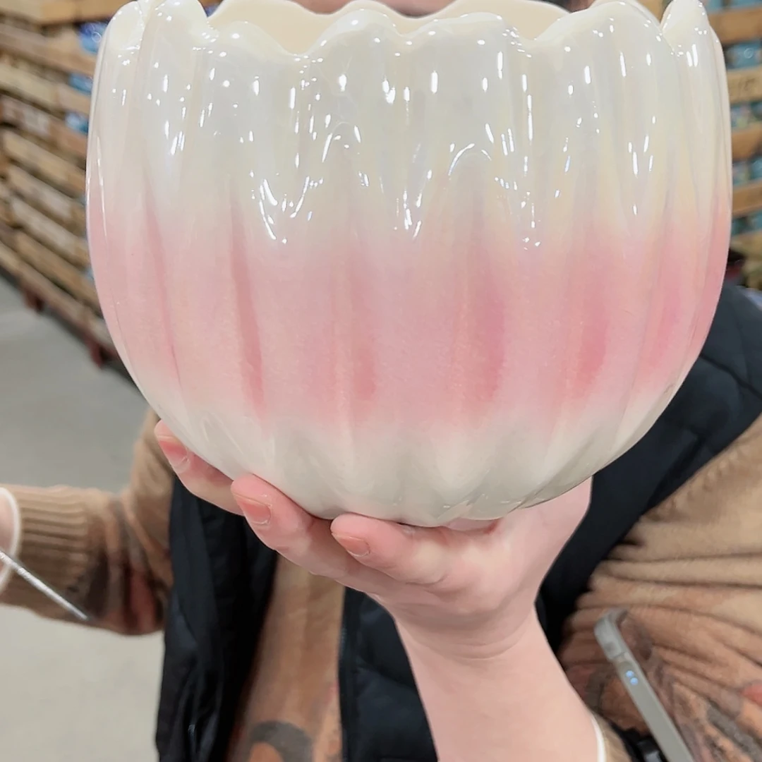 【闪购商品】陶瓷陶瓷多肉植物花盆