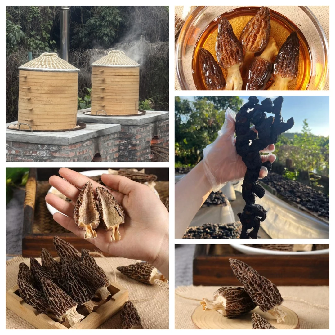 【10-20年】干片 高年份 九华山深山生长 可煮水可含食也可搭羊肚菌