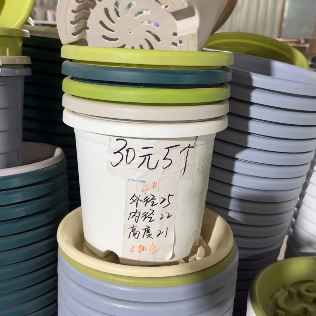 四季4#口径25无拖果绿8个