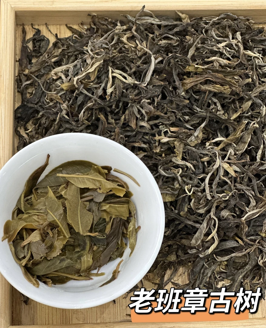 2025年老班章（99号）古树碎-散茶-生