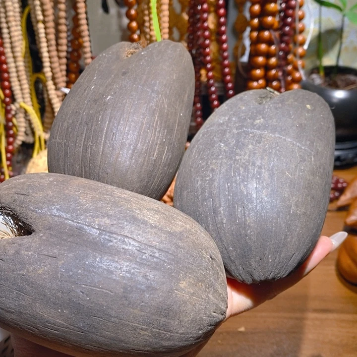 野生海椰子手把件1颗