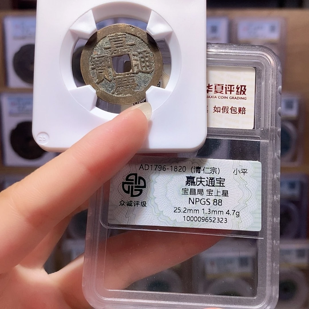 铜嘉庆 昌上星 25+ 2323