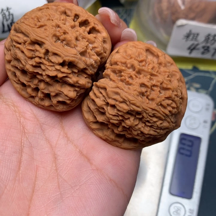 文玩核桃把件44-9876-8