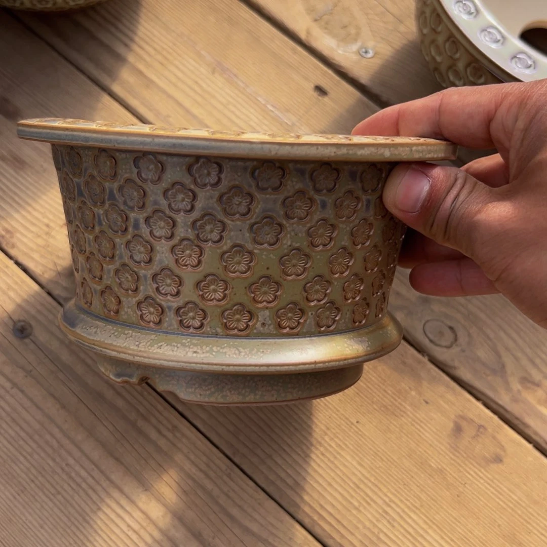 多肉一物一拍0601-50