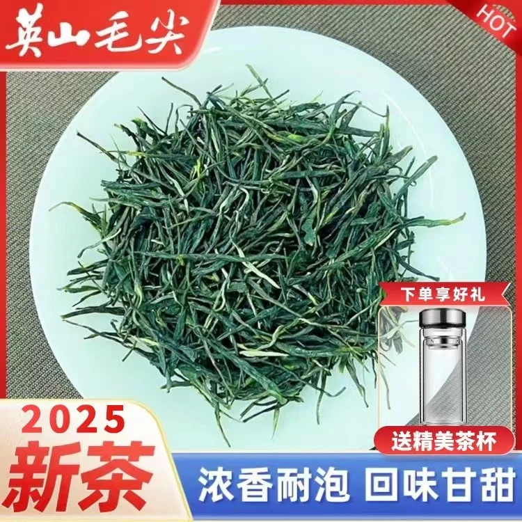 2025年新茶英山直条毛尖