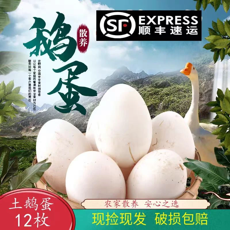 【助农推荐】农村散养溜达鹅新鲜土鹅蛋现捡现发（破损包赔）