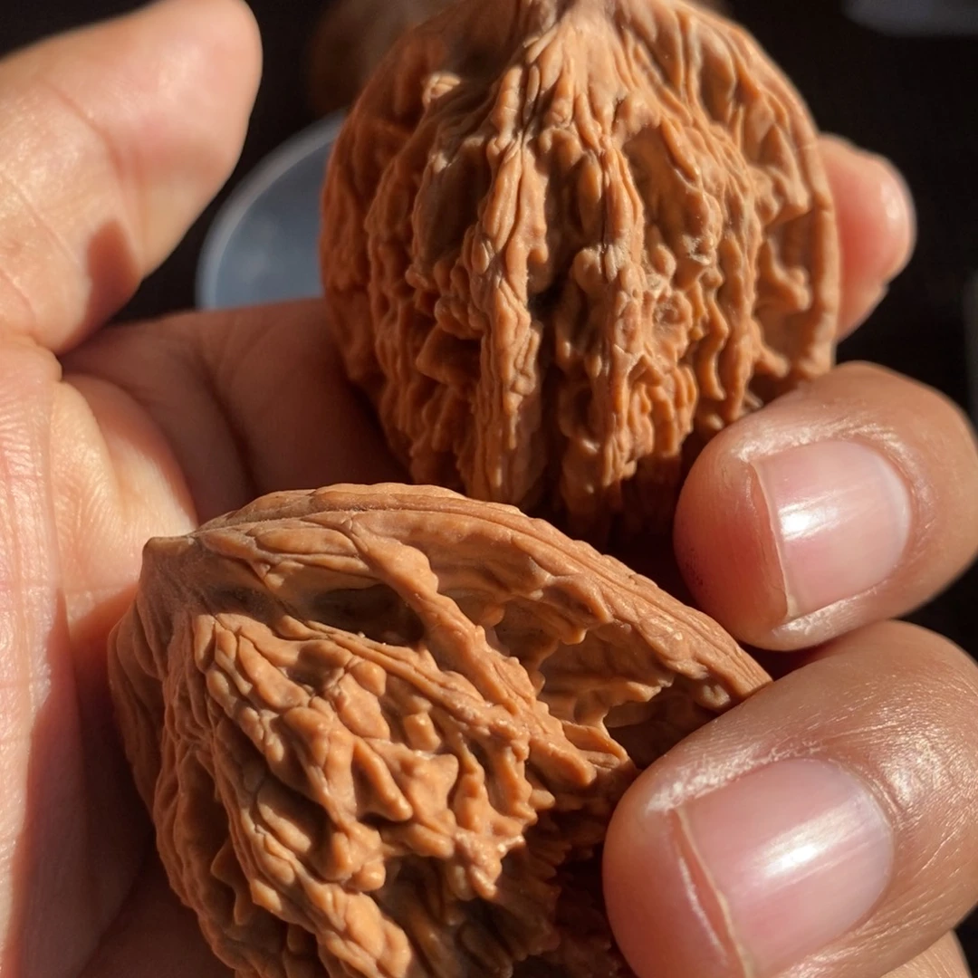 熊***儿大叶紫檀（黑酸枝木类）虎头