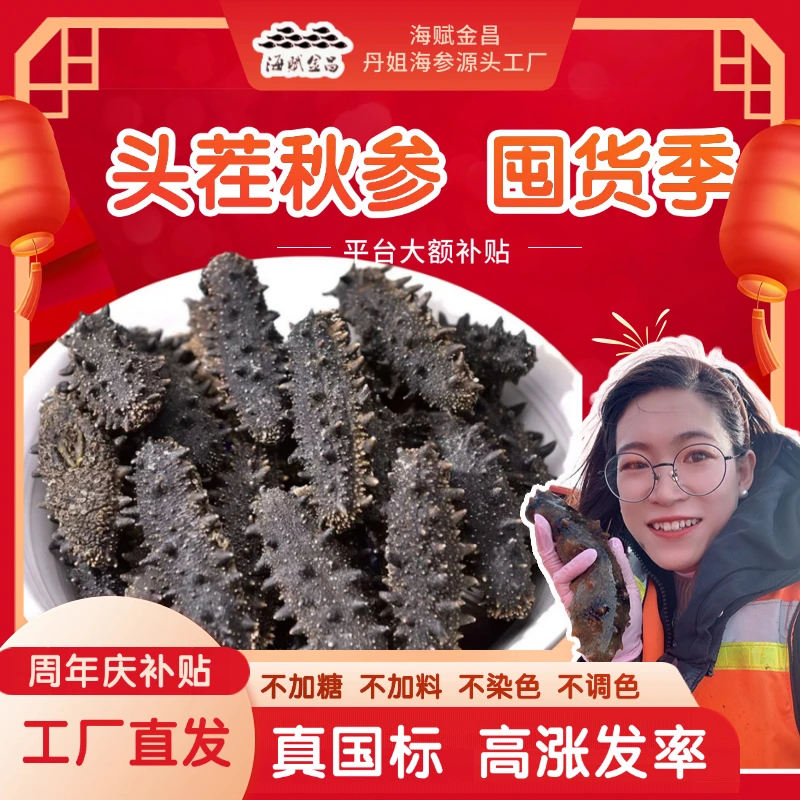【头茬秋参】海赋金昌丹姐海参60-70头/斤500g口粮参品质保证