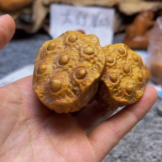 柏木（崖柏）崖柏97