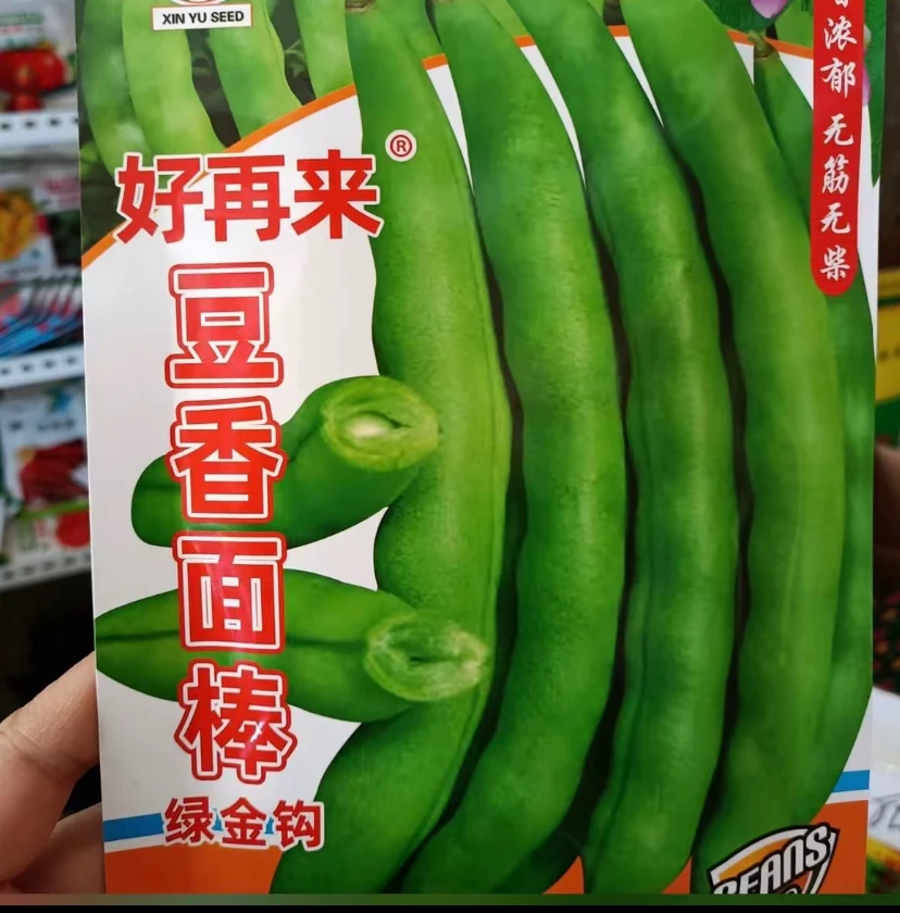 【豆香面棒豆角种子】四季种植盆栽地栽阳台小院种植
