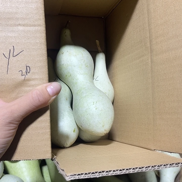 非洲紫檀（红花梨）y*