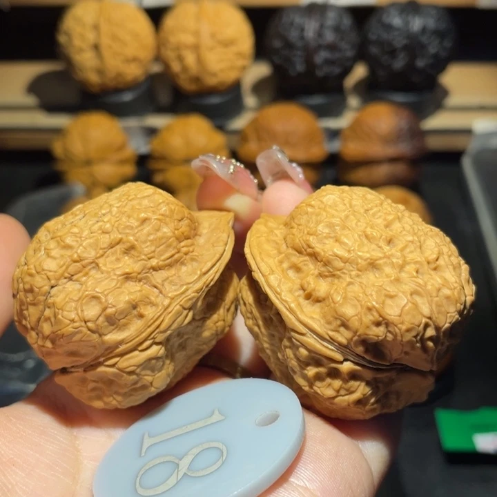 蝴蝶蟾38尺寸核桃