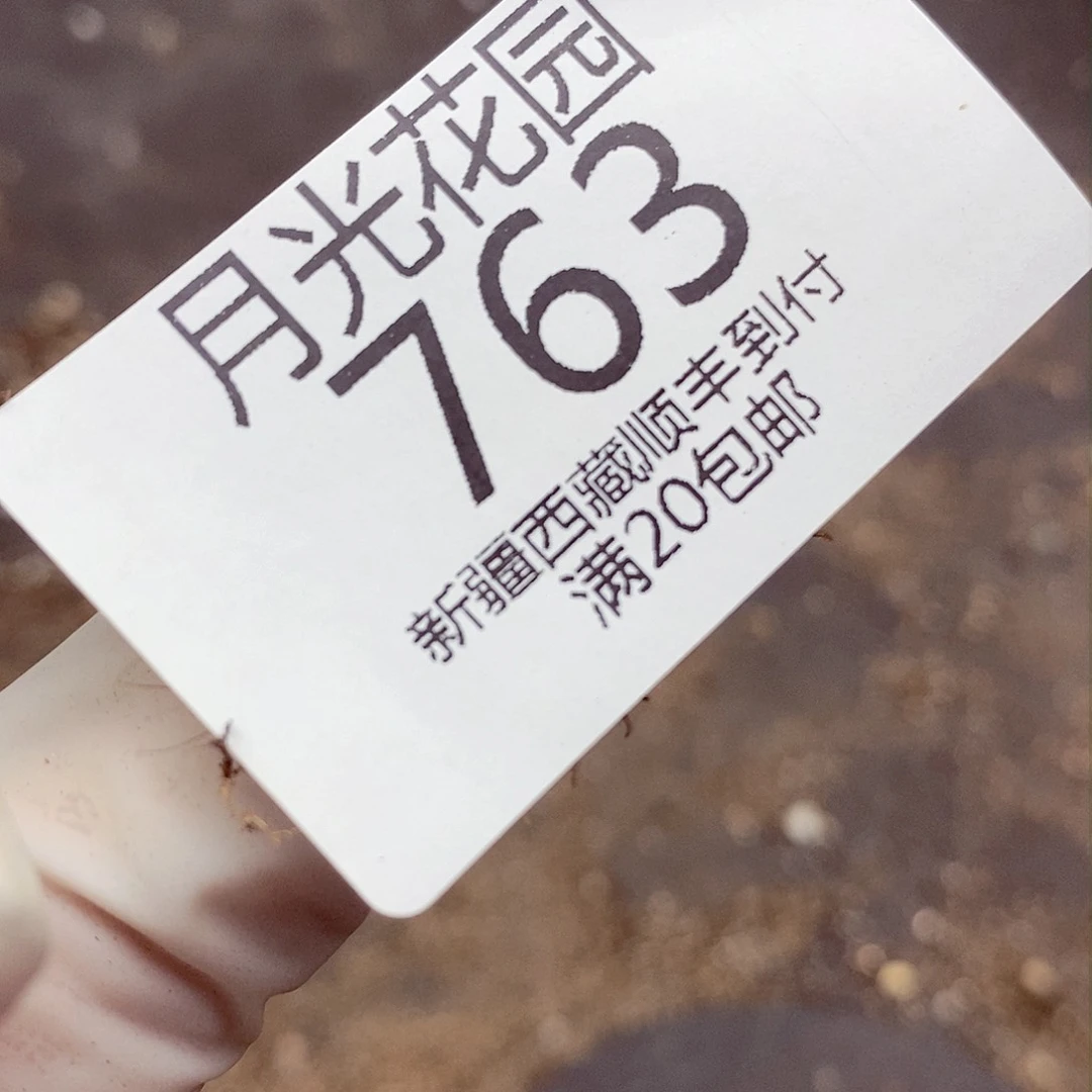 我要看电影啦嘻嘻这要是763