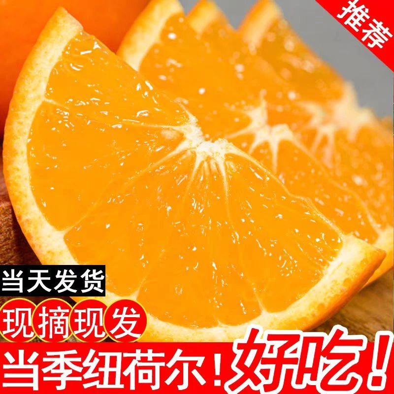 正宗重庆奉节脐橙当季新鲜水果手剥甜橙现摘现发